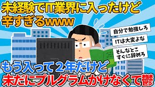 【2ch就活スレ】未経験でIT業界に入ったけど辛すぎるwww【ゆっくり解説】