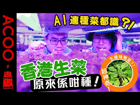 【盡做！】本地食材可以用AI種出嚟？！地獄廚神Happy親自下廚！去埋本地高科技種植場 訴解菜的秘密！