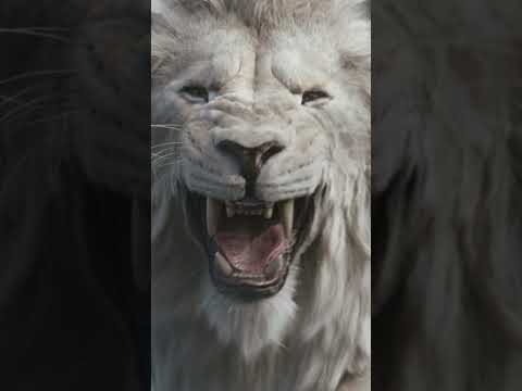 Mufasa: The Lion King | Fight With Me #shorts