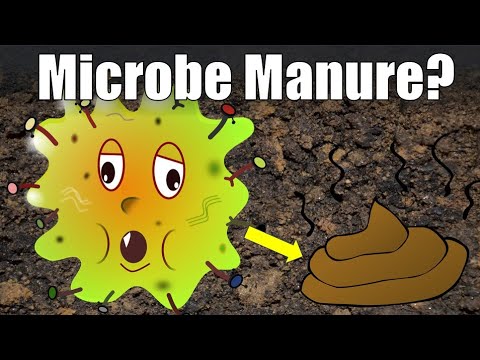 A Different Way to Think About Manure