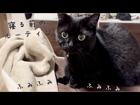 寝る前に飼い主のベッドを暖めにきてくれる黒猫