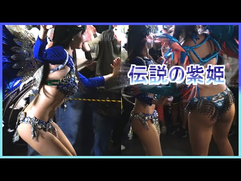 4K 美人大学生サンバ 伝説の紫姫 カーニバル ウニアンメンバー 平間銀座サマーフェスタ 2023 Japanese Samba street festival