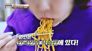 벗어나기 힘든 비만의 굴레.. 원인은 한국인의 식습관?! | 위대한 식탁 67회 | JTBC 230408 방송