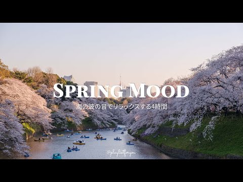 [ playlist ] 【playlist】ゆったり流れる時間を楽しむ洋楽プレイリスト | spring mood | 洋楽 Playlist