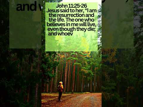 John 11:25-26