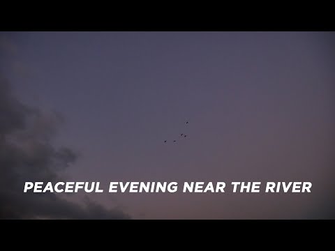 Peaceful evening near the Babai River  #nepalvlog #vlog