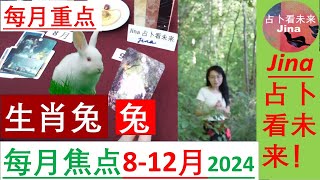 生肖兔🐇8月-12月每月焦点/2024年🍀个人占卜请点击视频下方的内容介绍🌞