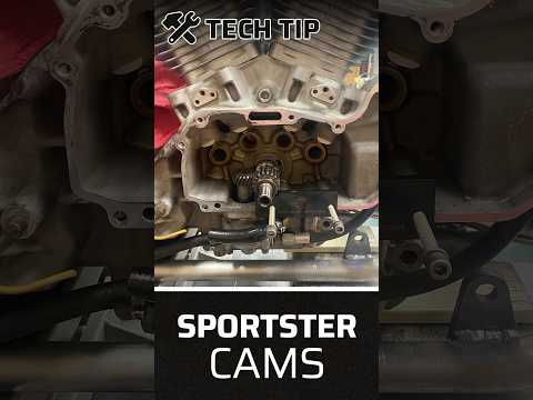 H-D Sportster Cams tip! #motorcycle #harleydavidson #harley #shorts #short #mechanic #sportster