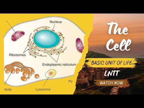 The Cell #thebasicunitoflife #cell #cellhistory #genbio1module1&2