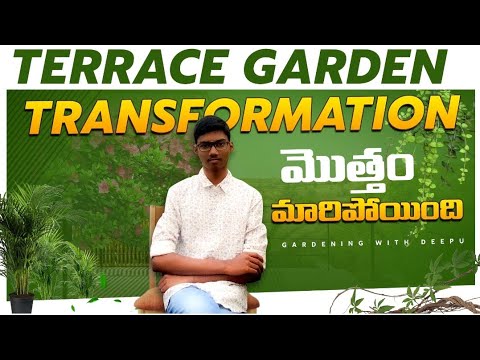 Terrace garden transformation part 3  (finally part)