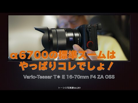 【α6000系標準ズームの決定版！】10年前のとは思えない。Vario-Tessar T* E 16-70mm F4 ZA OSS。