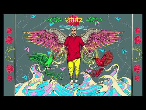 Ritviz - Thandi Hawa (Anish Sood Remix)