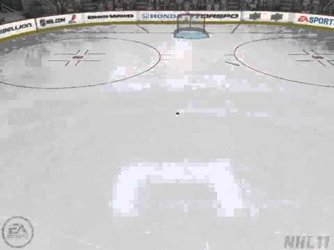 Crazy Empty Net Goal in NHL 11