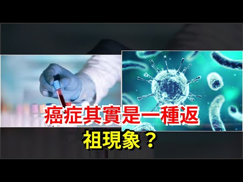 癌症其實是一種返祖現象？，[健康之家]