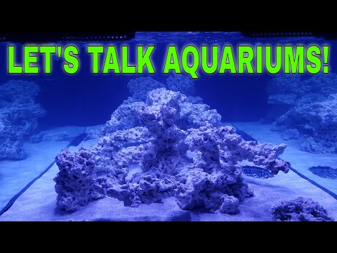 Let's Talk Aquariums