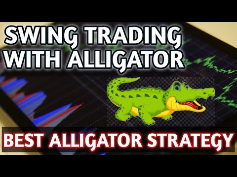 Best Alligator Strategy To Catch Big Swings