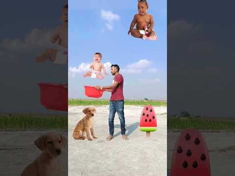 Flying crying babies Catching vs hen, parrot & puppy & yellow lizard- #funny #short