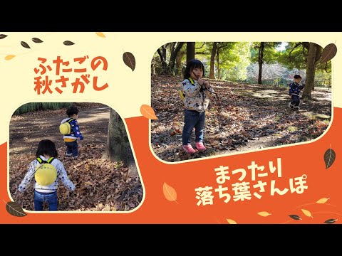 ふたごの秋さがし！🍂 まったり落ち葉さんぽ👶👶The twins' autumn search!!