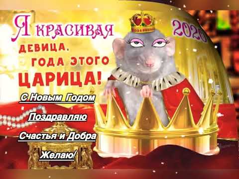 Крыска Поздравляет с Новым годом!Прикольная открытка с НОВЫМ ГОДОМ! 31 декабря!happy New Year!