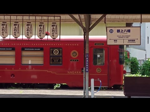 【郡上八幡】打ち水列車と鯉のぼり20240810 郡上おどりへ「人柱を弔う」