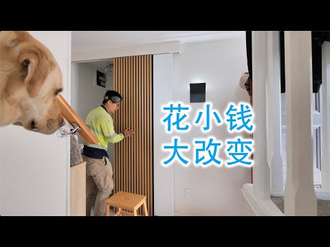 花小钱，大改变的房屋改造(新西兰 Harold Vlog 883)