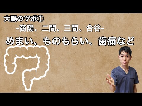 【大腸経のツボ①】めまい、ものもらいなど｜練馬区大泉学園 お灸サロン仙灸堂