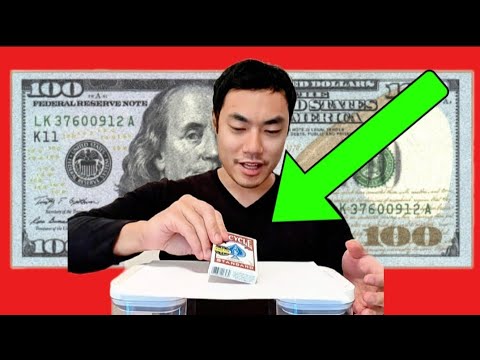 The $100 paper challenge!