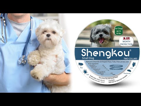 shengkou flea and tick collar for small dog