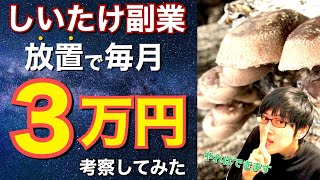 【副業💰】「自宅でしいたけ栽培 毎月3万円の副収入」は可能なのか？①〜⑦ “総集編”【しいたけ栽培】