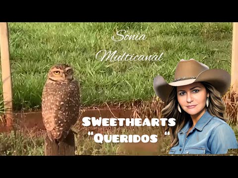 SWEETHEARTS-QUERIDOS #musicasemcopyright