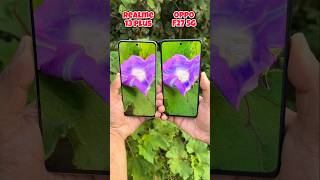 Realme 13 Plus 5g vs Oppo F27 5g Camera Test #realme #oppo #shotrs