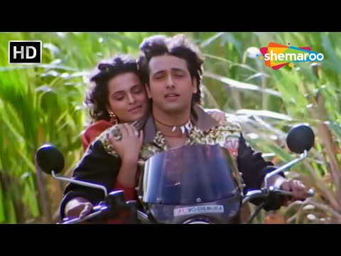 Sanam Mere Sanam Kasam Teri Kasam | Hum (1991) | Alka Yagnik, Amit Kumar | Govinda, Shilpa Shirodkar