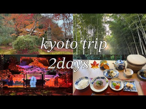 《 京都 vlog 》紅葉めぐり🍁  京都旅行 / 紅葉狩り / 嵐山 / 高台寺 / 錦市場 /京都 / trip