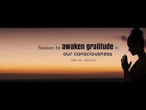 【Gratitude Meditation】- O&O Academy Preethaji