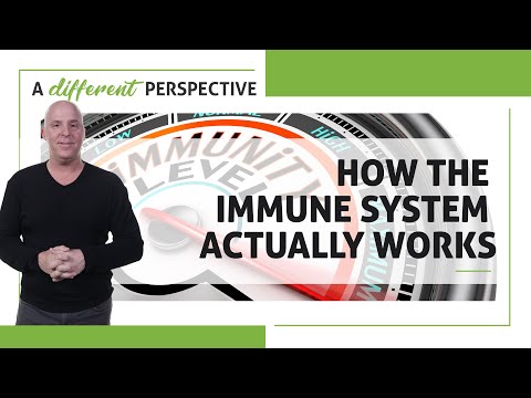 How the Immune System Actually Works | A Different Perspective | Episode 135