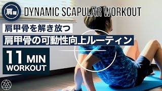 【肩甲骨】肩にまつわる9種目を一気にやるトレーニングルーティン