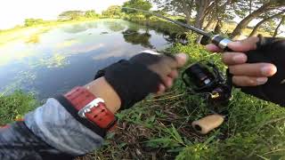 Daiwa Presso LT1000S-P & Graphiteleader Corto UX 6102L