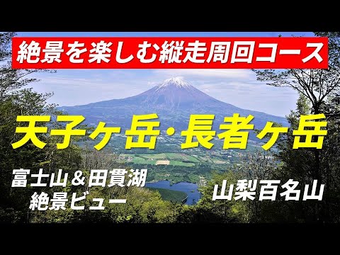 天子ヶ岳・長者ヶ岳 絶景を楽しむ縦走周回コース 富士山 大沢崩れと眼下の田貫湖ビュー 2022年5月11日 長者ヶ岳山頂からの絶景は16分50秒から