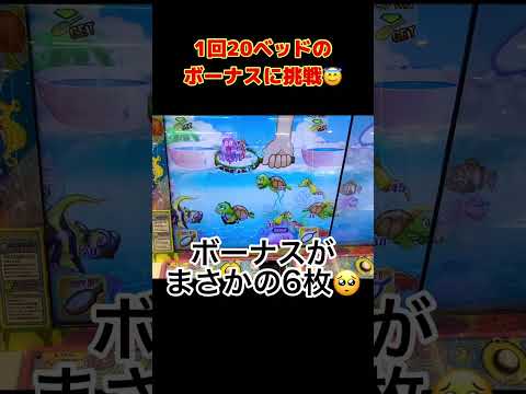 #Shorts 【メダルゲーム】1回20ベッドのボーナスゲーム！のんびりゲーム【いっしょに金魚パラダイス】　#ゲームセンター　#メダルゲーム