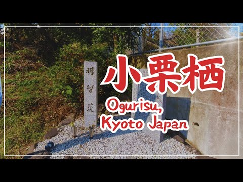 【3min Kyoto】3分で巡る「小栗栖・明智薮」~Ogurisu, Kyoto Japan~