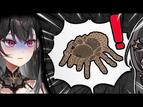 Arya Kuroha is afraid of Spiders