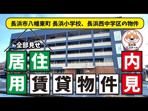 内見動画　長浜市 八幡東町 長浜小学校、長浜西中学区の賃貸物件　ルームツアー