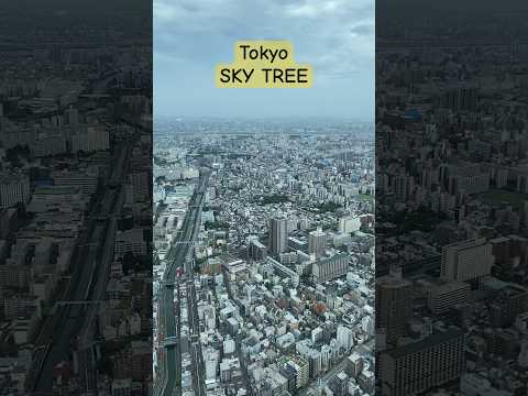 Tokyo Sky Tree | 東京睛空塔 #japan #tokyo #skytree #travel #nice #amazing