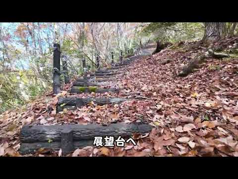 10年後に再会したい米原の山紅葉