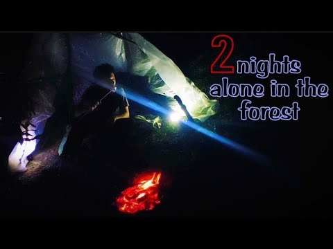 Two nights alone in the forest.🌱#camp #overnight #adventure #bushcraft #jungle #outdoor #outdoor