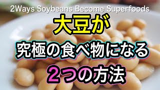 発酵食品を超える神秘の力！大豆に何が起きているのか？究極のタンパク質食品にする方法