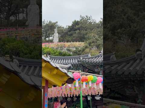 Haedong Yonggungsa: “The Most Beautiful Temple in Korea”, overlooked by the Goddess of Mercy statue!