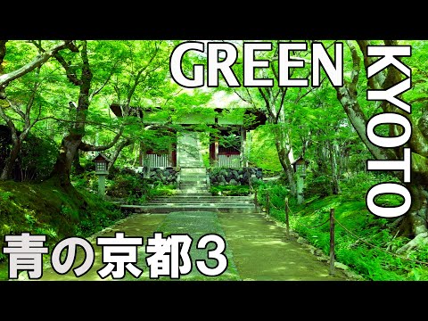 Green Kyoto Japan