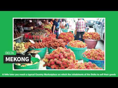 Mekong Delta Tour Speedboat