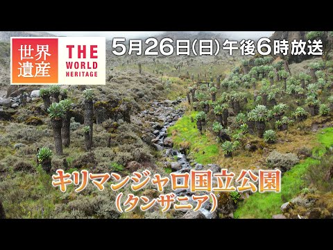 【TBS世界遺産】アフリカ最高峰！キリマンジャロの恵み～キリマンジャロ国立公園（タンザニア）【5月26日午後6時放送】